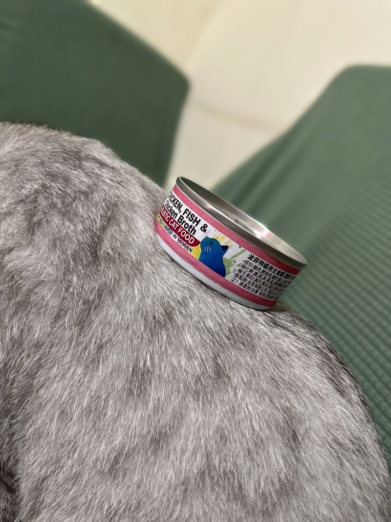 女人知己試用大隊,口碑行銷,部落客行銷,PURRFACT 波菲特貓用主食罐,主食罐,PURRFACT波菲特,貓主食罐,貓罐,PURRFACT波菲特貓用主食罐,魚肉蔓越莓主食罐,鮮嫩雞主食罐,鹿肉雞肉主食罐,牛肉鵪鶉貓主食罐,干貝蠶蛹配方,鱷魚肉白木耳配方,雞肉魚肉配方,安心鶉配方,評價,體驗,適口性佳,心得,成貓適用,高齡貓適用,質地是慕絲狀